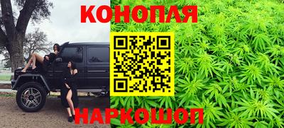прущие грибы Пугачёв