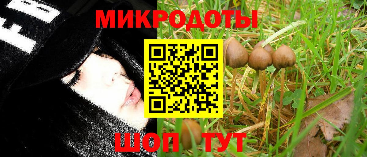 Псилоцибиновые грибы Magic Shrooms Нарьян-Мар