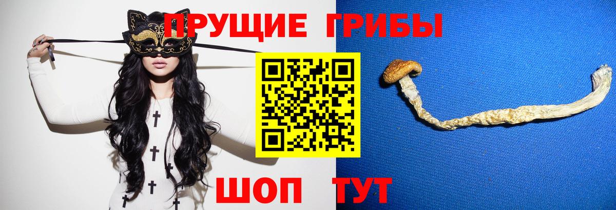 Галлюциногенные грибы прущие грибы  Вход с VPN  Нарьян-Мар 